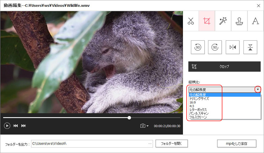 DVD Memory（Windows版）での動画編集-縦横比の調整